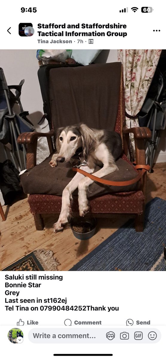 GSDvine's tweet photo. Missing from Stafford ST16 area since 3/7 
Pls RTW https://t.co/Ac4QccgQ8j