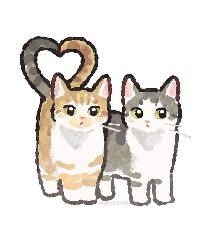 only cute things (@cutedreamvibes) on Twitter photo 