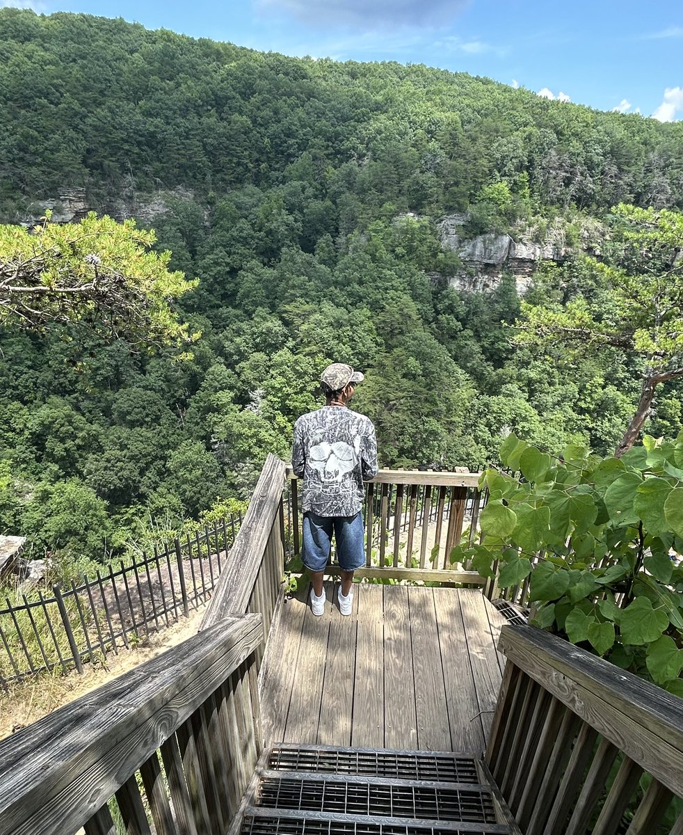 CJ🔪🌙 tweet media