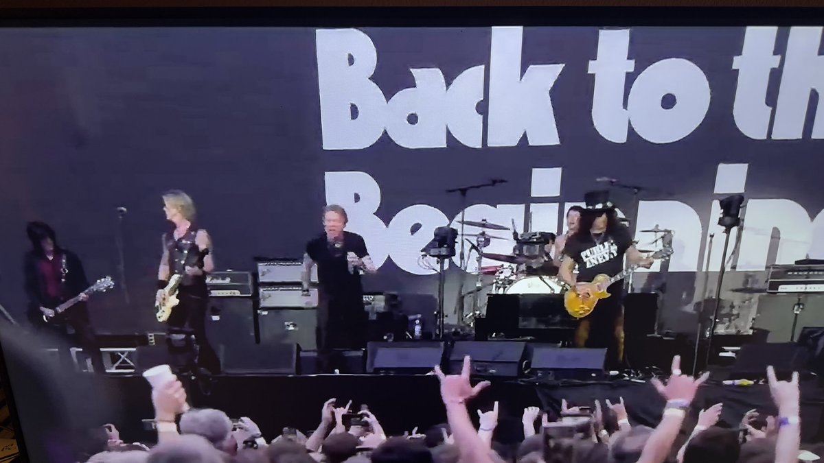 sanfreebird tweet media