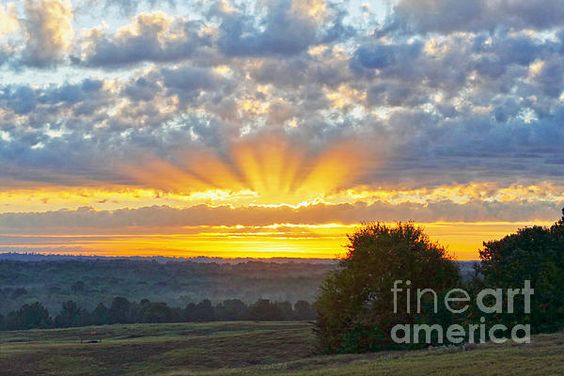 Texas Piney Woods Ranch Sunrise
#PineyWoods #Texas  #CLS fineartamerica.com/featured/texas…