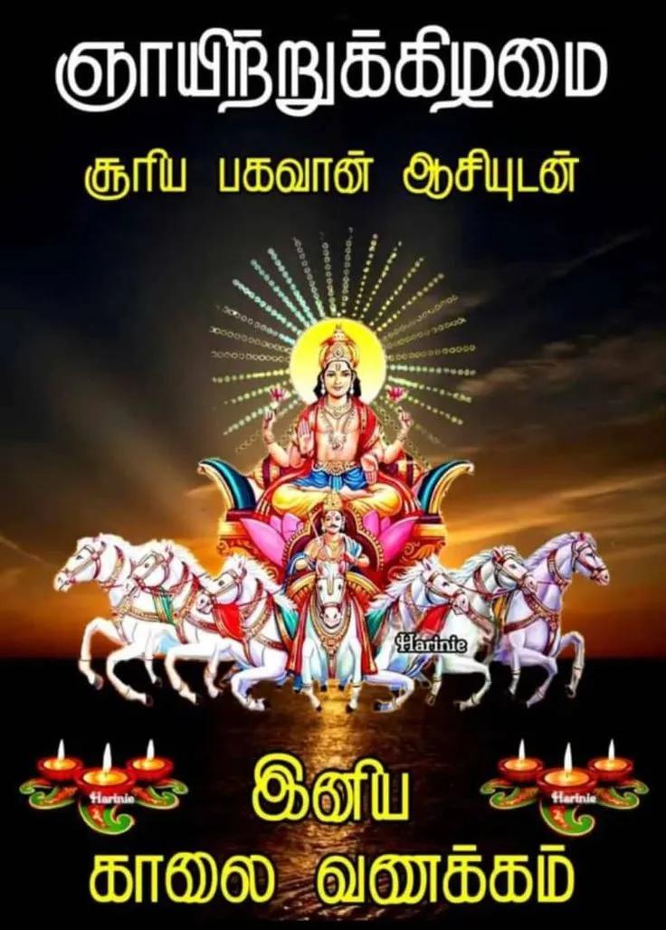 kalaiselvi (@kalaiselvi66301) on Twitter photo 