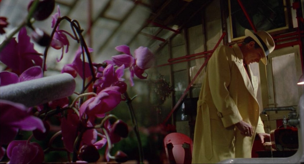 Every Split Diopter tweet media