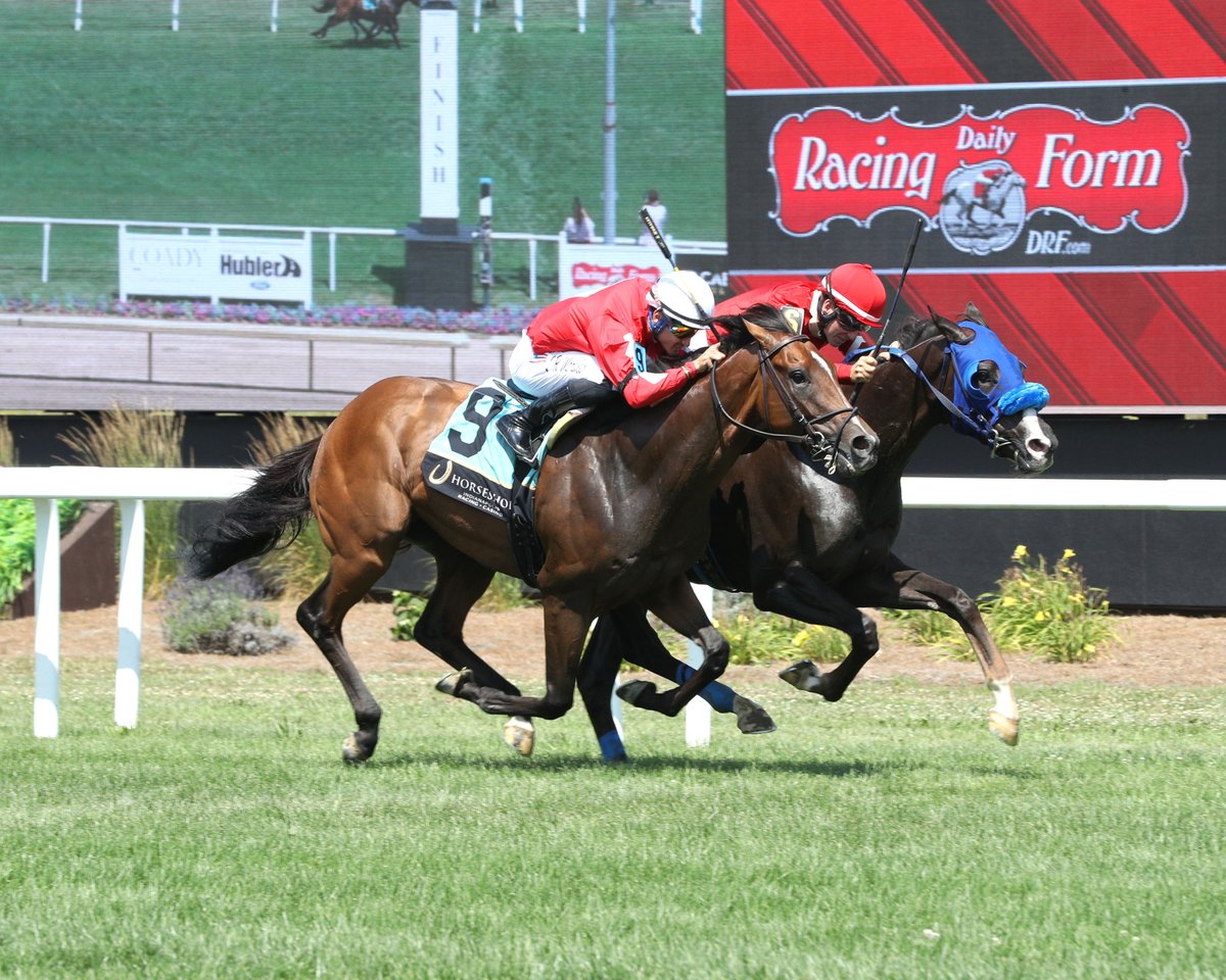 HSIndyTammy's tweet image. Chicory Blaze edges Mackadoo in $100K Snack @HSIndyRacing Story by @TracksideJennie Eclipse Award Winning Turf Writer  Photos by Coady Media  #racelikeacaesar  @IndianaTOBA @IndianaHBPA @IndyTBAlliance @INThoroughbred   @JohnGDooley @RacingRachelM