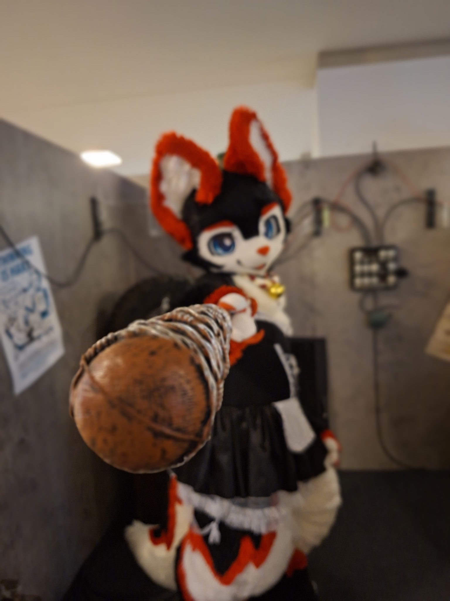 🍓 Strawberry (딸기 / イチゴ) 🔜 Cesfur, EF, Thaitails