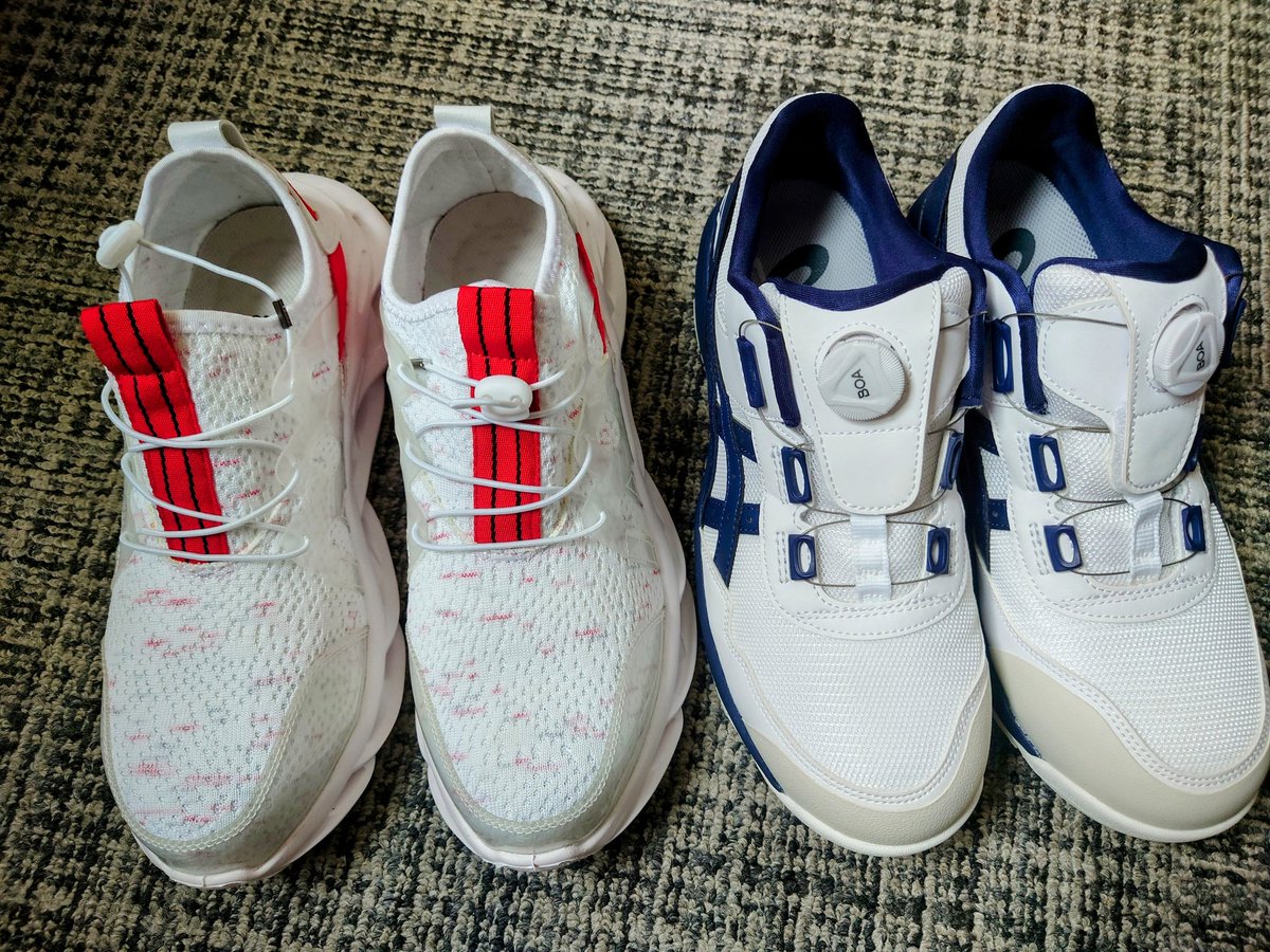 u*0様 ☘️蕾付☘️タグ付⭐️3389⭐️ASHWOODIENSIS⭐️BRI 🌊HARU ✨LONG-BORDER ✨ (@777Border) / Posts / X