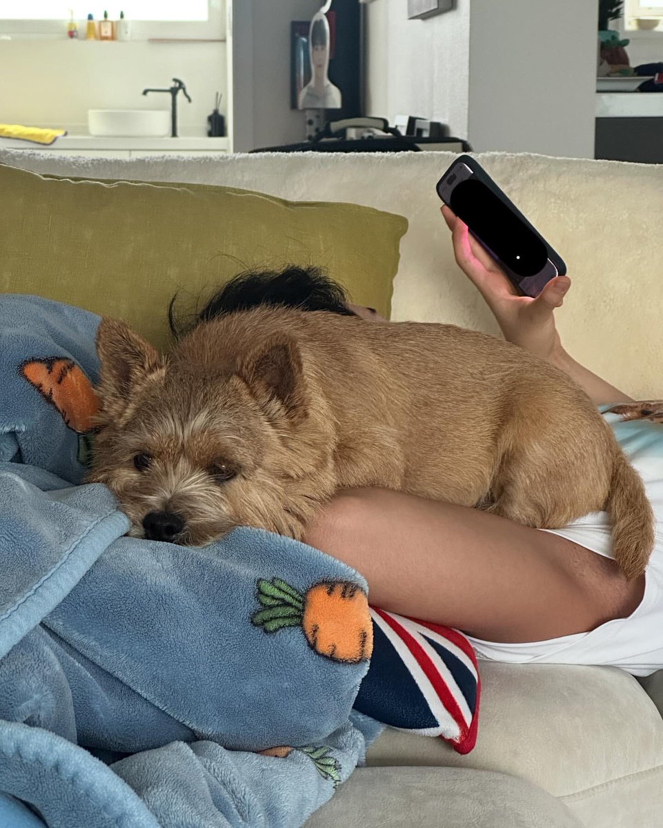 wonubliss's tweet photo. latte lying on hoshi’s neck and arm. 🥹 https://t.co/sucvzmG8Ri