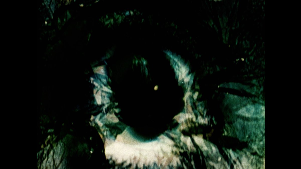 blackzerodisc's tweet image. Richard Kerr's Collage d'Hollywood (2003), one of several 35mm works represented on our new release Richard Kerr: Crisis Collision Resolve. Kerr made this film in collaboration with his students Brett Kashmere and Mike Rollo, from discarded 35mm commercial film trailers.