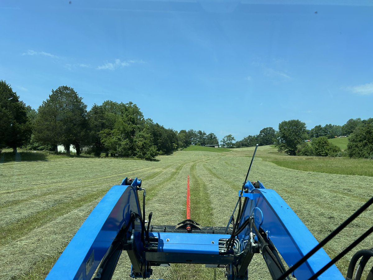 Sun was out today so the office was the hay field