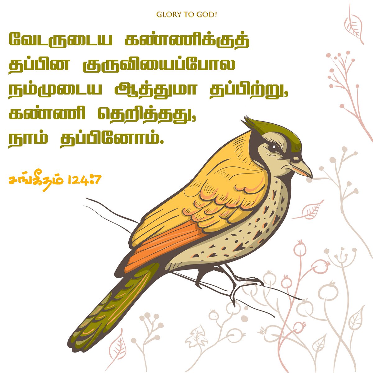 daily_appam's tweet photo. வேடருடைய கண்ணிக்குத் தப்பின குருவியைப்போல நம்முடைய ஆத்துமா தப்பிற்று, கண்ணி தெறித்தது, நாம் தப்பினோம்.
சங்கீதம் 124:7

#VerseOfTheDay #BibleVerses #DailyVerse https://t.co/wAjwxUY2PU
