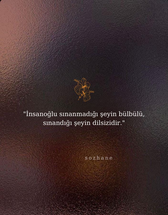 tumblr. (@theistumblr) on Twitter photo 