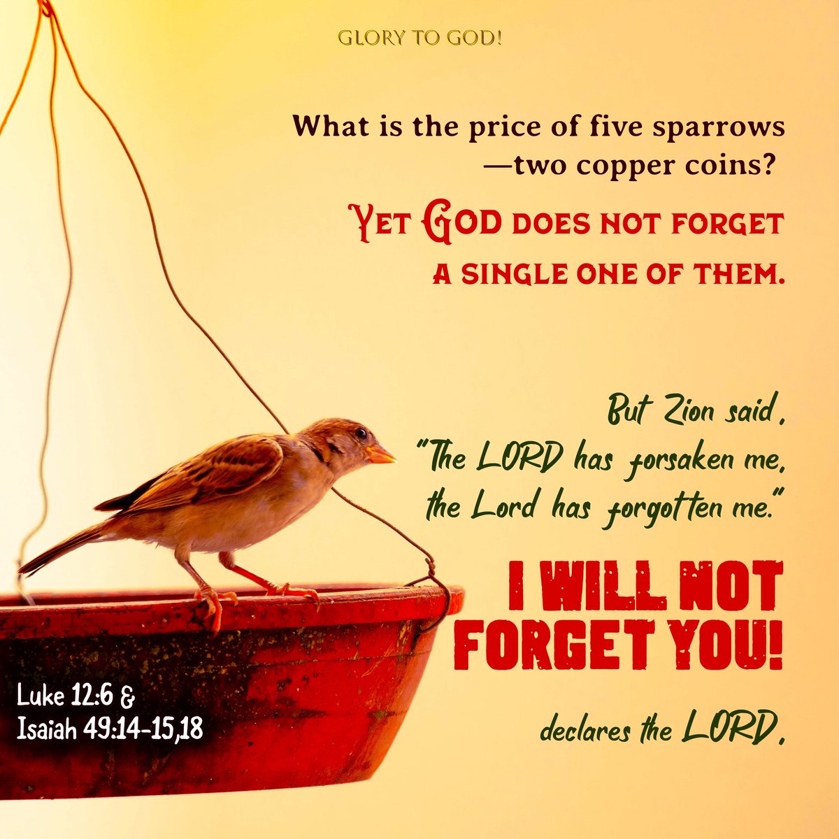 daily_breads's tweet photo. What is the price of five sparrows—two copper coins? Yet God does not forget a single one of them.
Luke 12:6

#VerseOfTheDay #BibleVerses #DailyVerse https://t.co/FKjrwsUJ0n