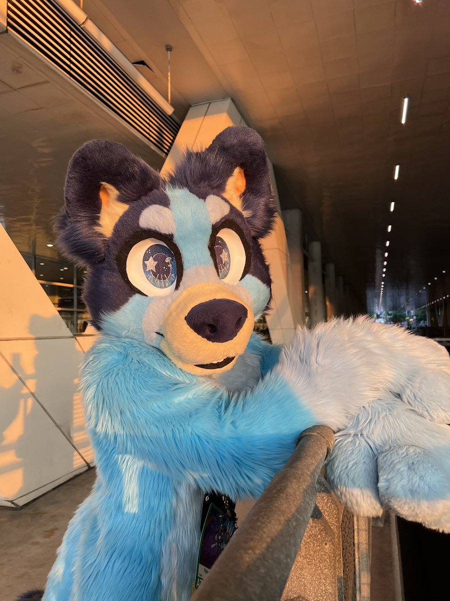 The sun may set today, but it’ll come up tomorrow 💙 #bluey #blueyfursuit