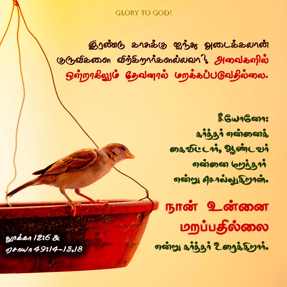 daily_appam's tweet photo. இரண்டு காசுக்கு ஐந்து அடைக்கலான் குருவிகளை விற்கிறார்களல்லவா? அவைகளில் ஒன்றாகிலும் தேவனால் மறக்கப்படுவதில்லை.
லூக்கா 12:6

#VerseOfTheDay #BibleVerses #DailyVerse https://t.co/fej9kmrPR4
