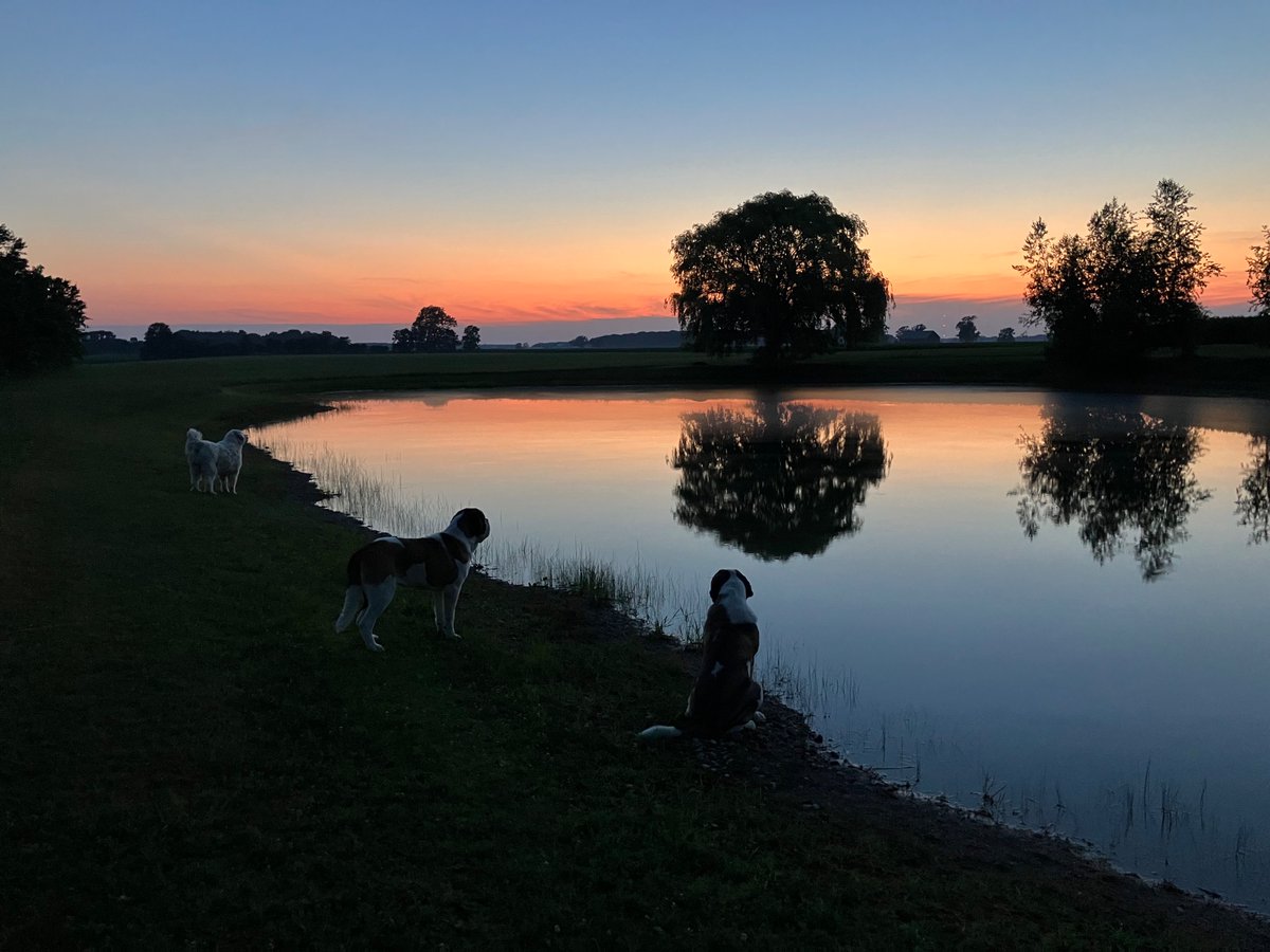 At least the heat has let up
A little but man what a night