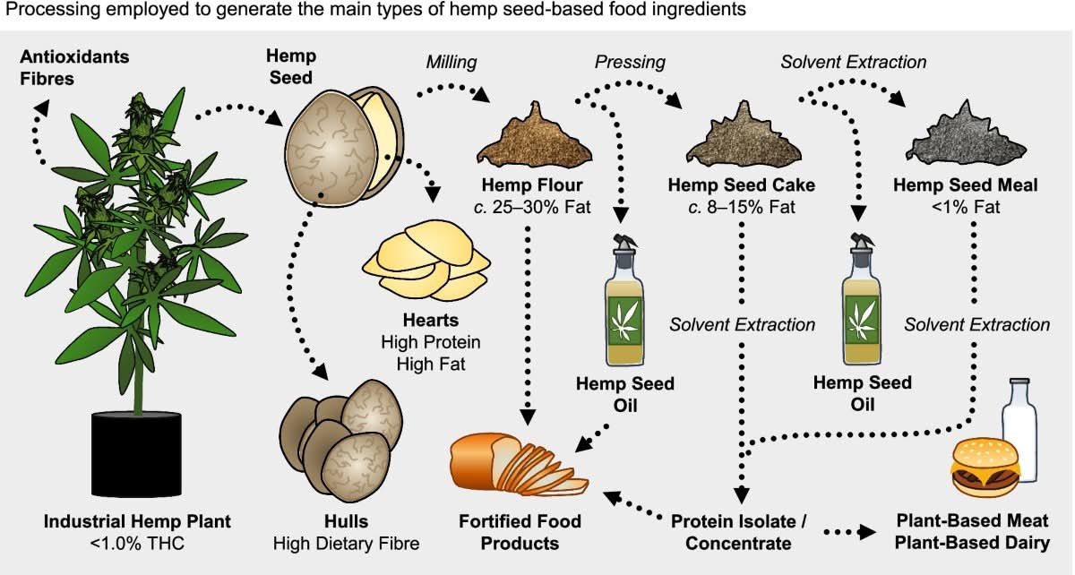 #hempseed = #superfood