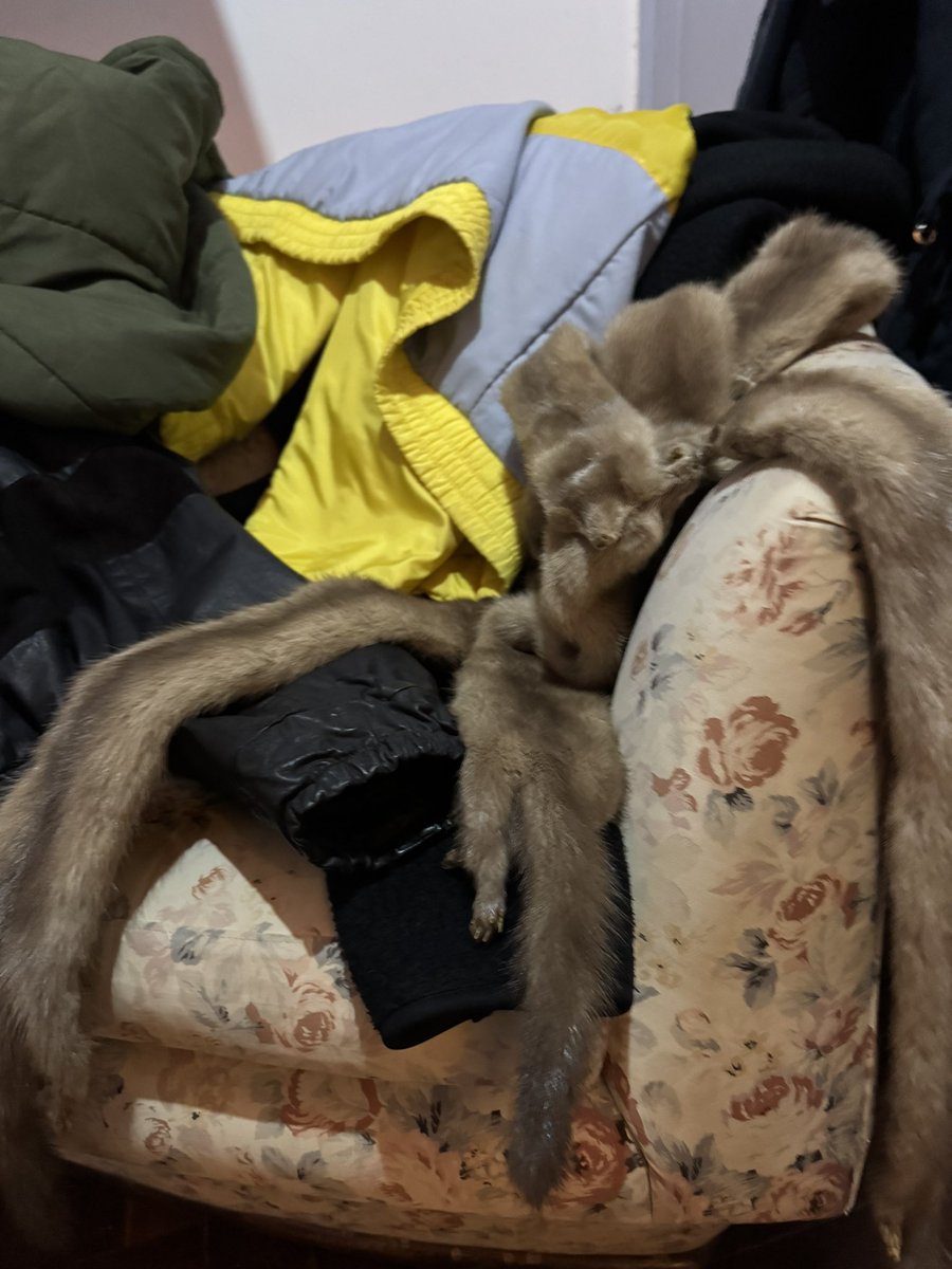 ingercher's tweet image. Madreh,  recién en una reunión fui a dejar mi abrigo y no sé si ví a tus primas siamesas o era un encuentro de tipo orgía o ambas cosas. @marthalamartha