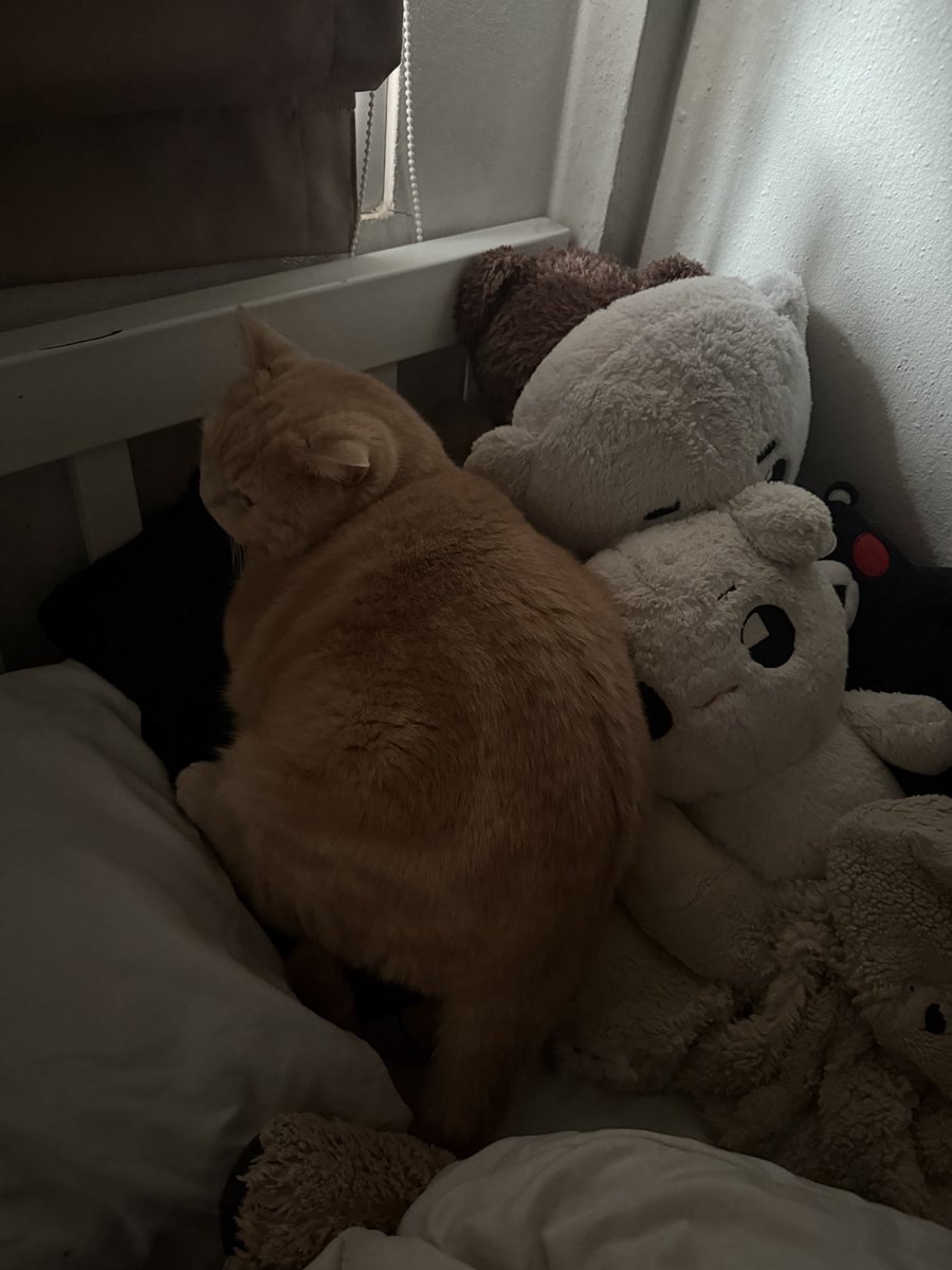 ขนุนอยู่บนเตียงหรอ