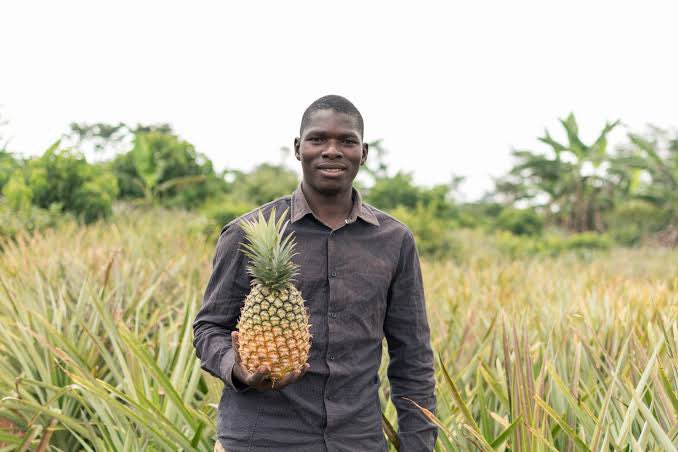 🌱 THE POWER OF THE SEED: A NEW DAWN FOR YOUTH IN AGRICULTURE 🚜
In 2010, a young man in a quiet Ugandan village planted just one acre of coffee. Fast forward to today — he owns rentals, drives a double cabin, and sponsors his siblings' education. Not from a jackpot, not from