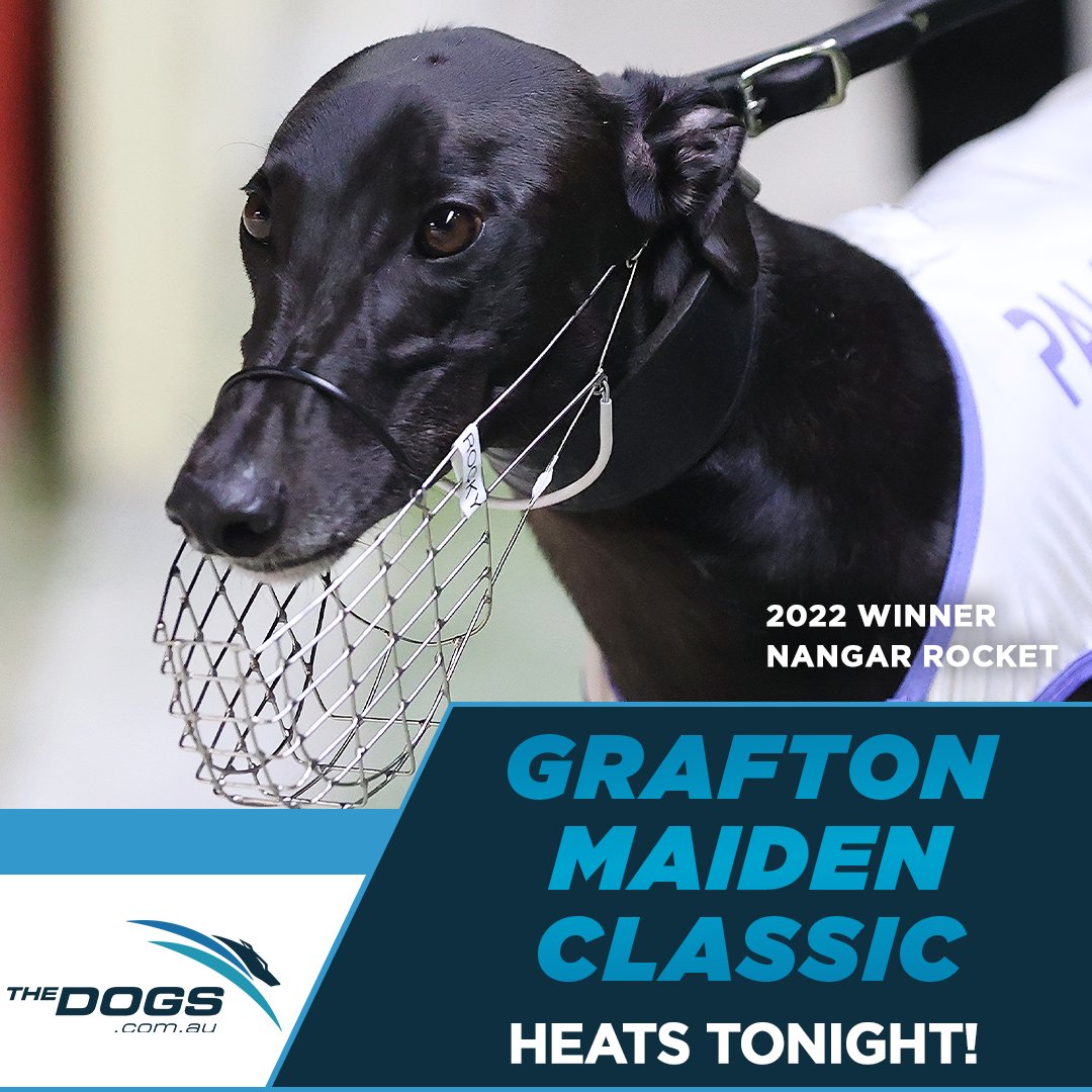 Bring on heats of the Fair Dinkum Builds CV Sheds Grafton Maiden Classic tonight! 🙌

Who will put their best paw forward?

#thedogs