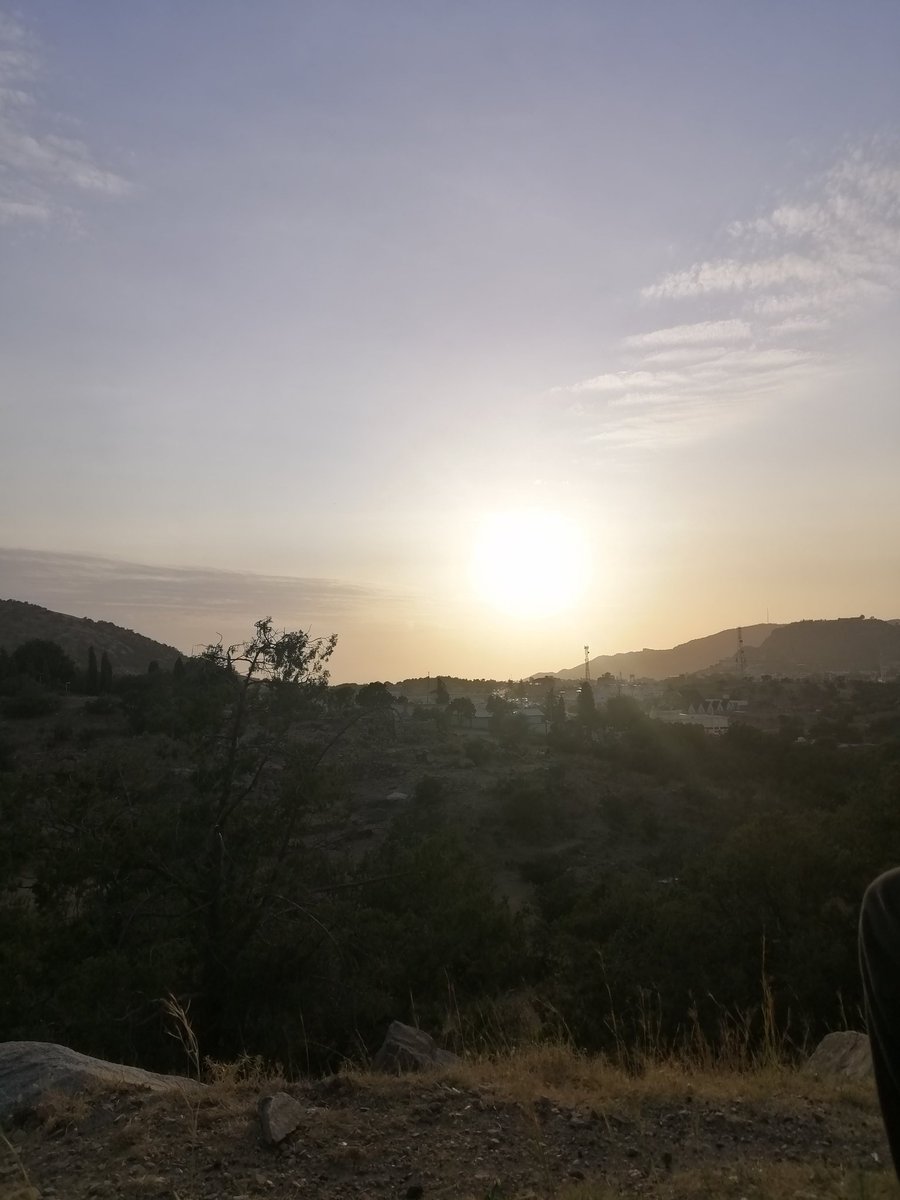 _🌴

صباح الخير