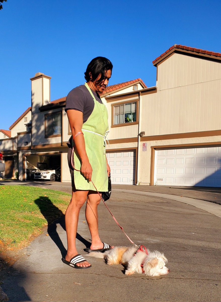 It's yet another "No Bones Day" for this 18 yr old Doggo that we're Pet-Sitting 🥲💞