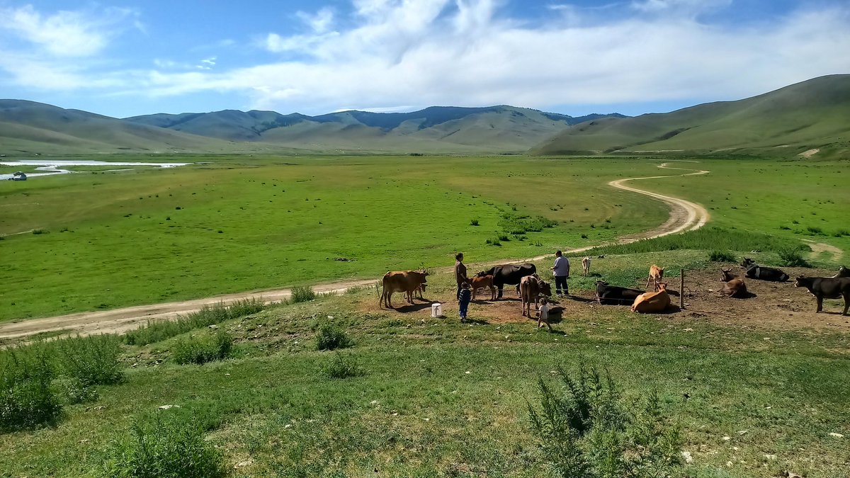 Хөдөөгийн сайхан. Амралтын өдрийн мэндээ.