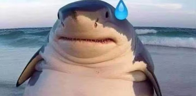 Watch Taigerタイガ🦈's leaked NSFW photo on TwXstars