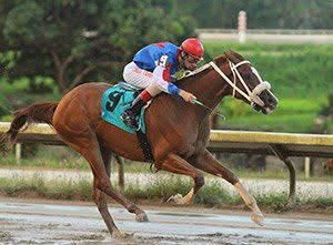 juancolondiaz's tweet photo. Triple coronados de Puerto Rico 🇵🇷 

10. Arquitecto (PUR) - 2012
• Catorce clásicos obtenidos en su campaña como corredor.
• Ganador de la Copa Confraternidad. Record de 1-2-2 en 5 carreras de la Serie Hípica del Caribe. https://t.co/CcEQYSYlRw