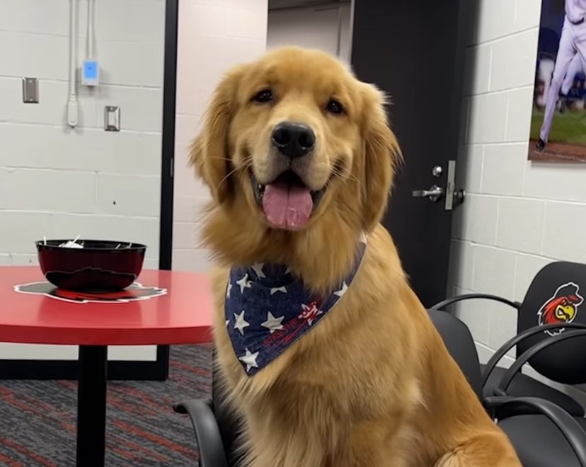 Shadow CTO (@shadowcto) on Twitter photo If you don’t already hold $BRUCE
You definitely gonna want to be before game day tomorrow!
FyS8ykimbrkSfZwGxxotnDcrCdr3bGWW1x2gKLippump
<a href="/Bruce_CTO/">Bruce the Bat Dog CTO</a> If you don’t already hold $BRUCE
You definitely gonna want to be before game day tomorrow!
FyS8ykimbrkSfZwGxxotnDcrCdr3bGWW1x2gKLippump
<a href="/Bruce_CTO/">Bruce the Bat Dog CTO</a>