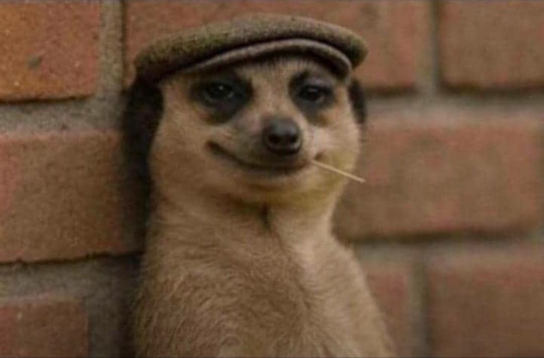 True love looking at you like