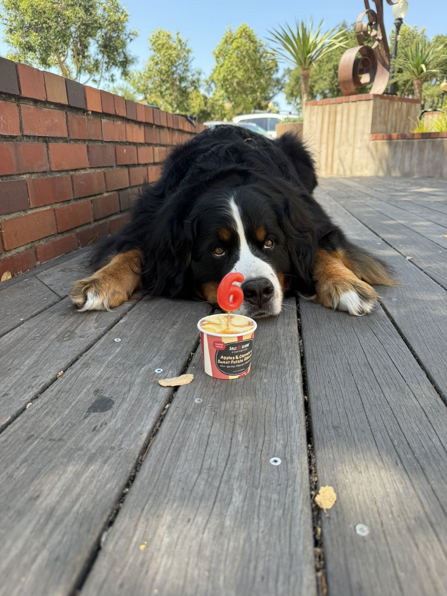 Everyone tell tucker happy birthday