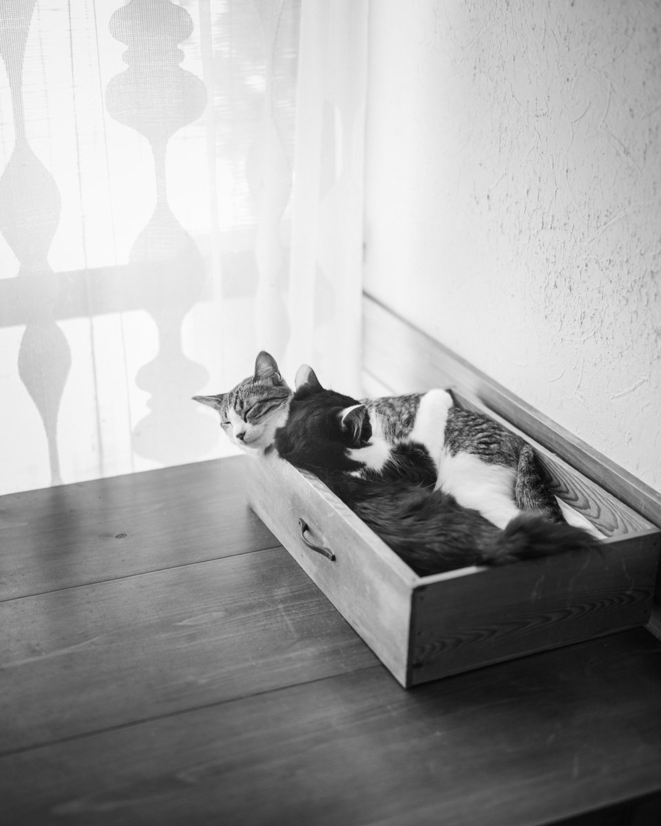 efjidigital's tweet image. 