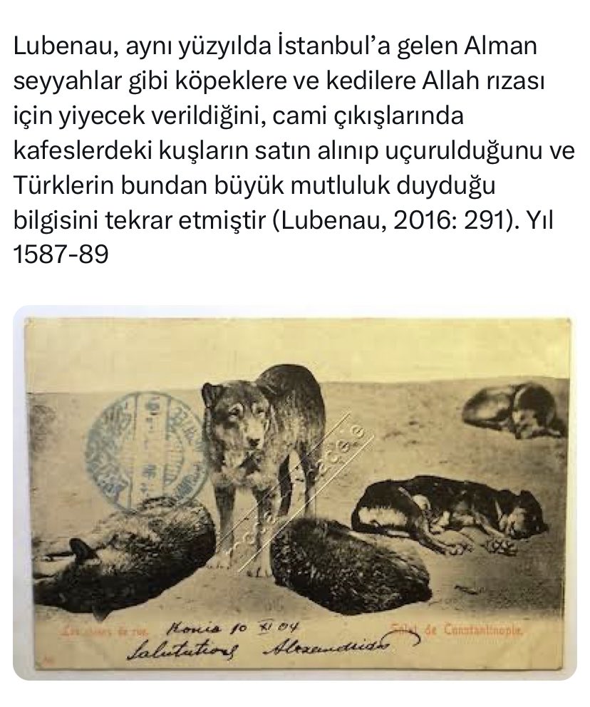 <a href="/Gulsumella_MD/">Gülsüm</a> Yüzyılların genetik hafızası, yüzyılların alışkanlığı, merhameti bir dönemin acayip kurallarıyla yok olmaz bence de.
