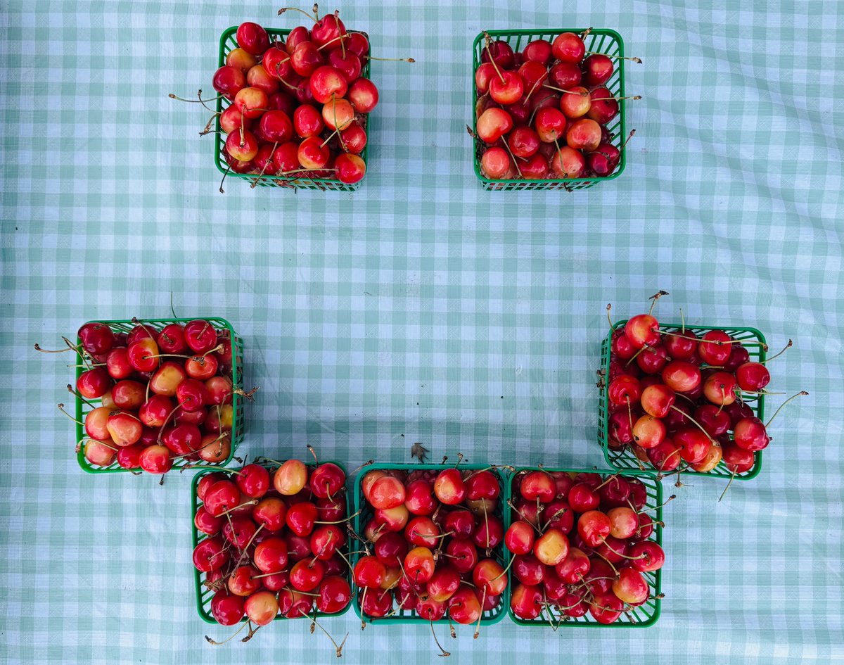 Today in Midwestern Ontario 🏡
Fresh finds at Listowel—local produce and handmade goods at every stall! Clinton’s 150th Celebration brought history alive with School on Wheels and stories on downtown tour and more! Ended with food trucks at racetrack! #SummerCruiser #clinton150th