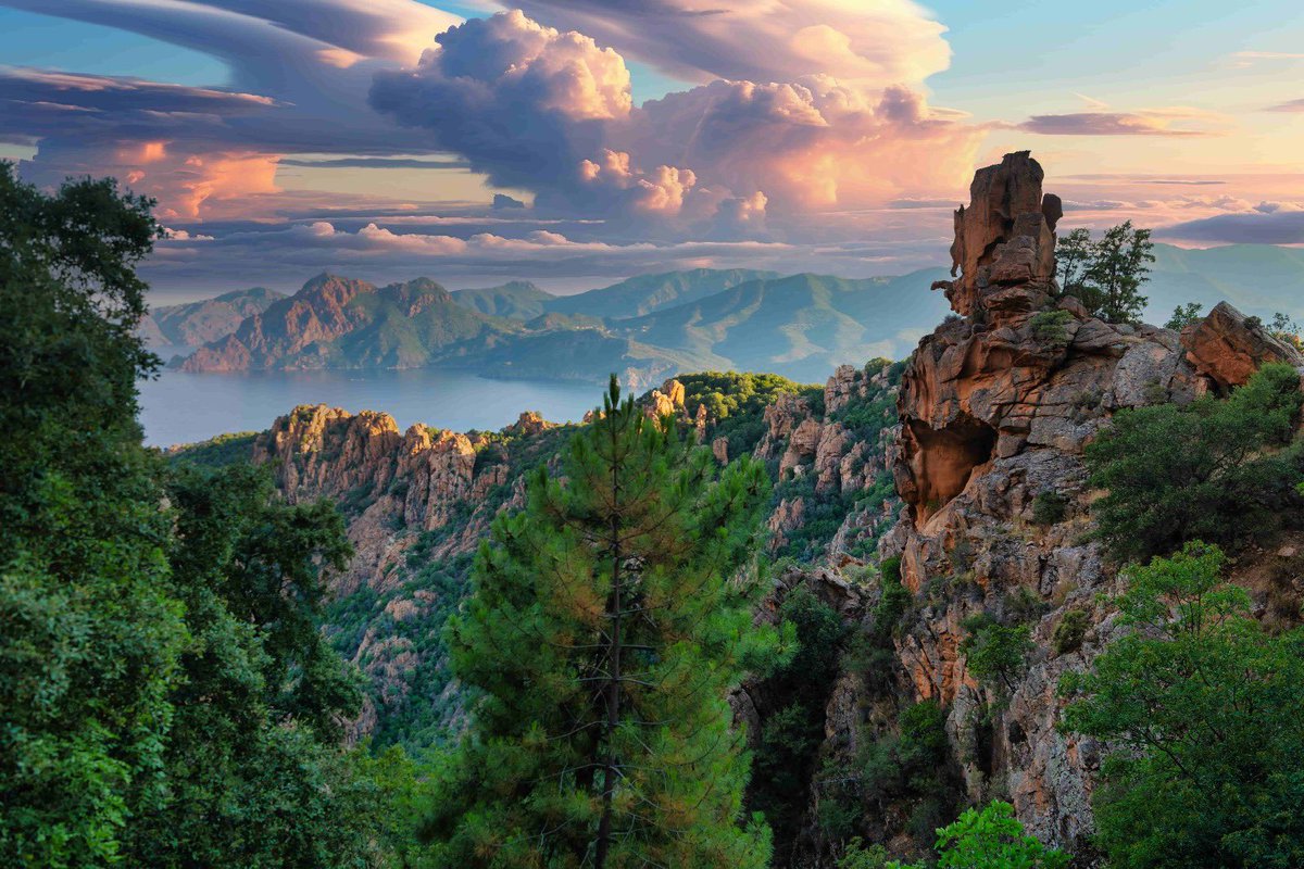 𝙲𝚊𝚛𝚗𝚞𝚗𝚗𝚘𝚜 🦌🌲 tweet media