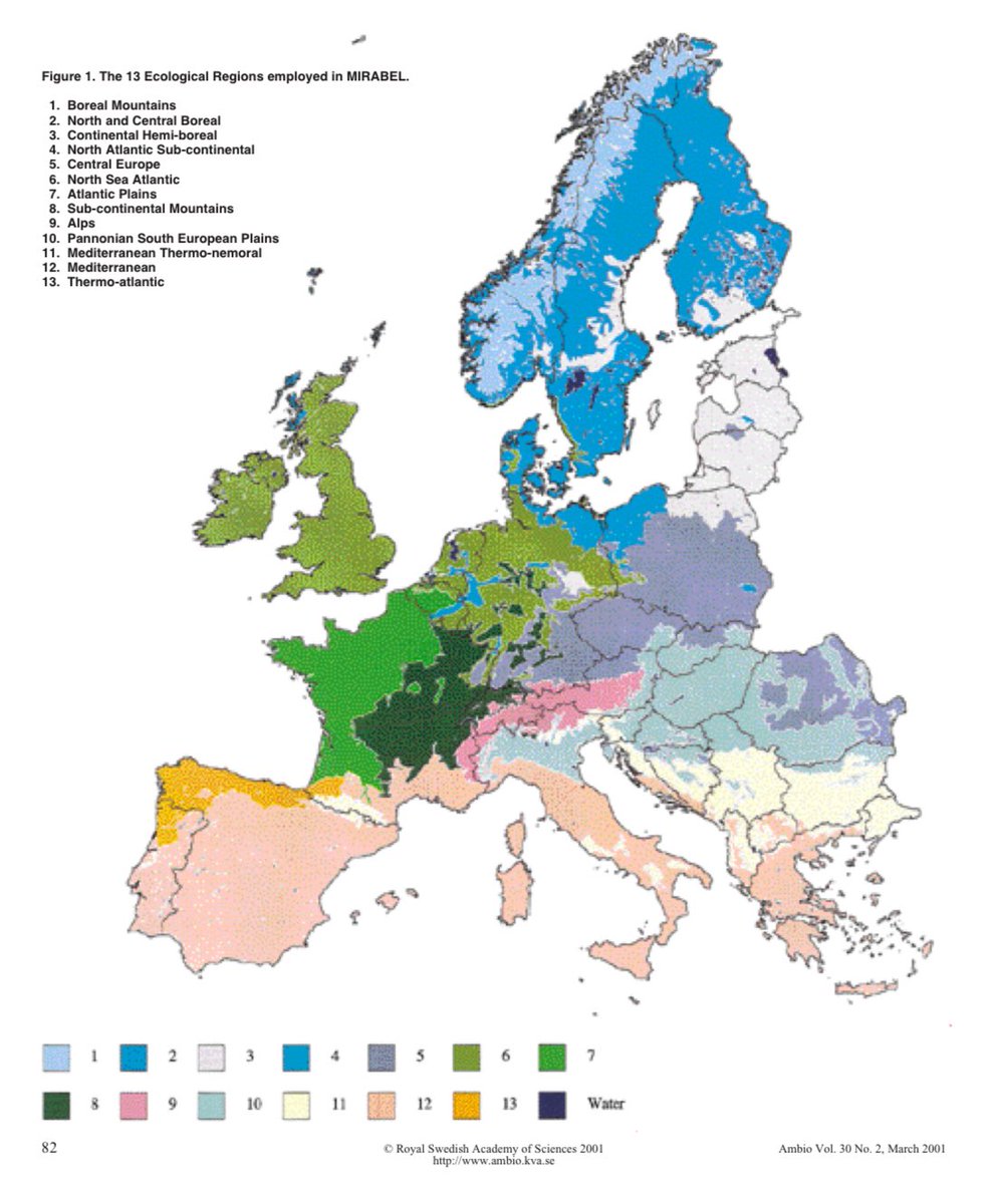 𝙲𝚊𝚛𝚗𝚞𝚗𝚗𝚘𝚜 🦌🌲 tweet media