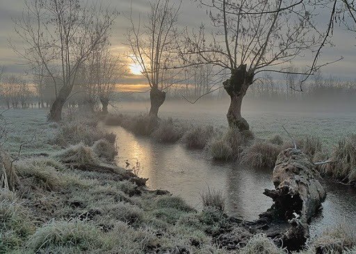 𝙲𝚊𝚛𝚗𝚞𝚗𝚗𝚘𝚜 🦌🌲 tweet media