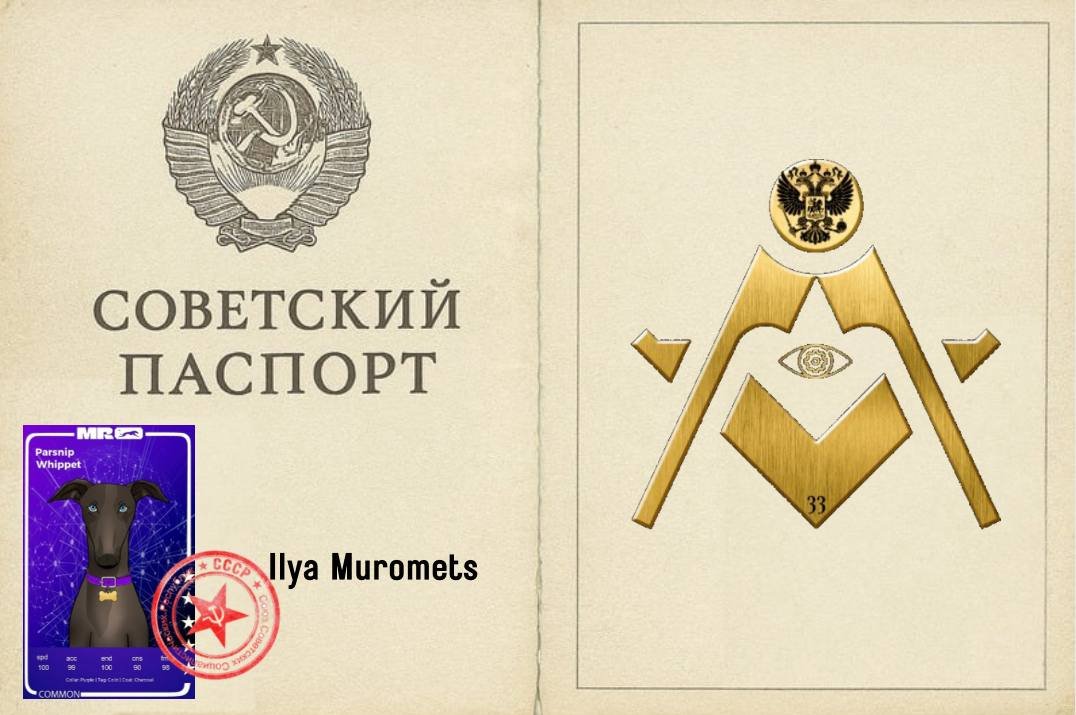 0xUsurper's tweet image. 𝐈𝐥𝐲𝐚 𝐌𝐮𝐫𝐨𝐦𝐞𝐭𝐬 placed 1st his first time during a Whippet Paid Sit &amp;amp; Go.    

Brought home 3850 FROTH           

#WhippetRacing #Racing #CryptoGaming #Web3Gaming $FROTH $POL $USDT @muzzle_run