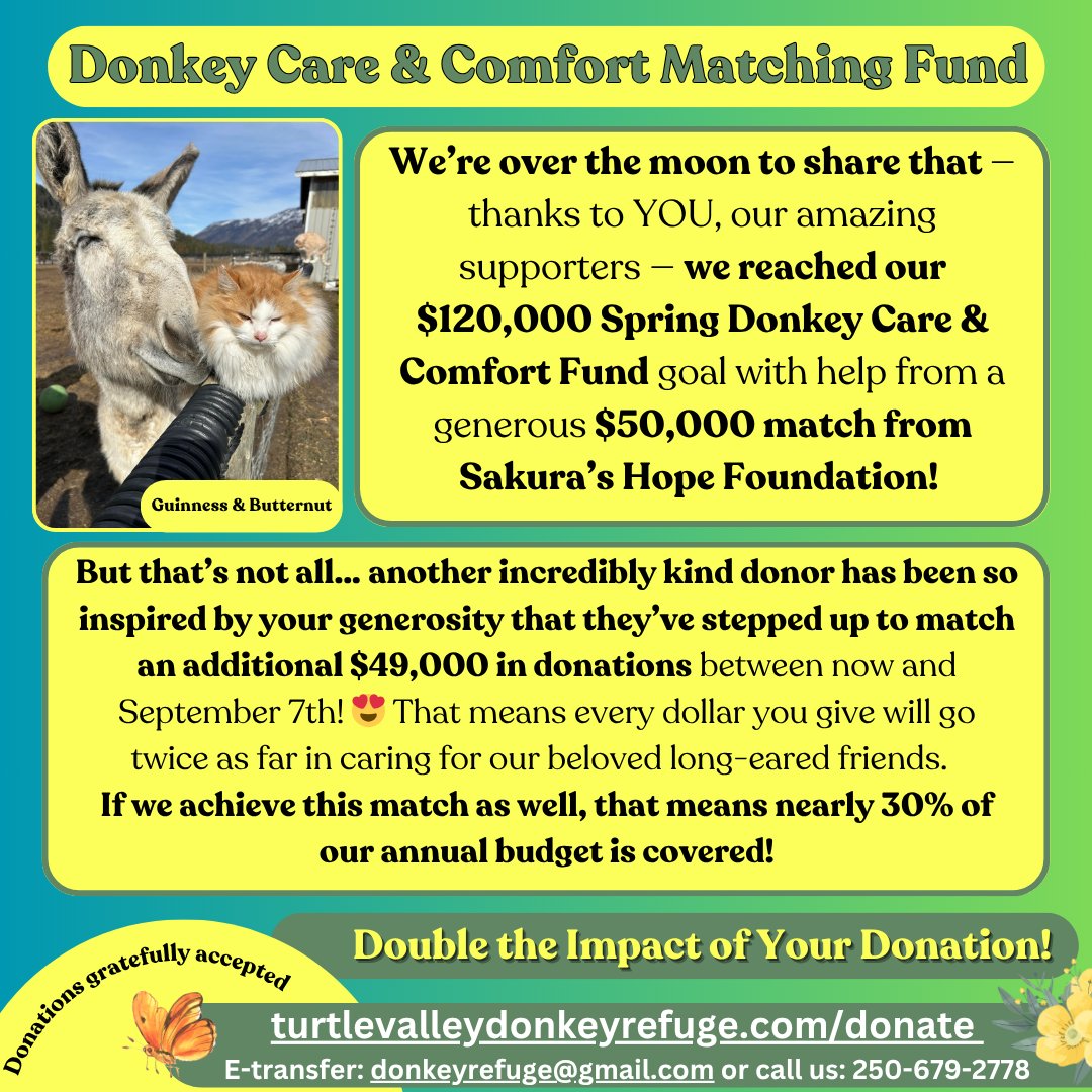 donkeyrefuge's tweet photo. 🎉 We hit our $120K goal — and now there’s ANOTHER match! 🫏💛
A new donor will match up to $49,000 in gifts to our Donkey Care &amp; Comfort Fund until Sept 7!
Double your impact today:
👉 https://t.co/lA5ilEoUta

#DonkeyLove #MatchingFund #TurtleValleyDonkeyRefuge https://t.co/5CeHaciH84
