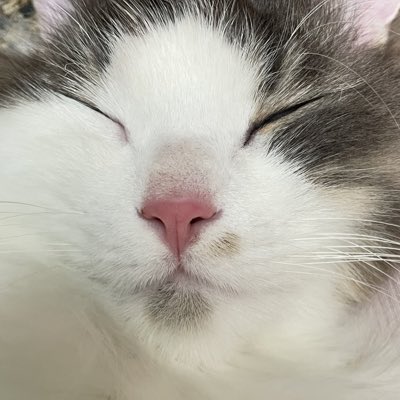 3wsn3's tweet photo. #NewProfilePic 🩷 https://t.co/8sgUoP98Ch