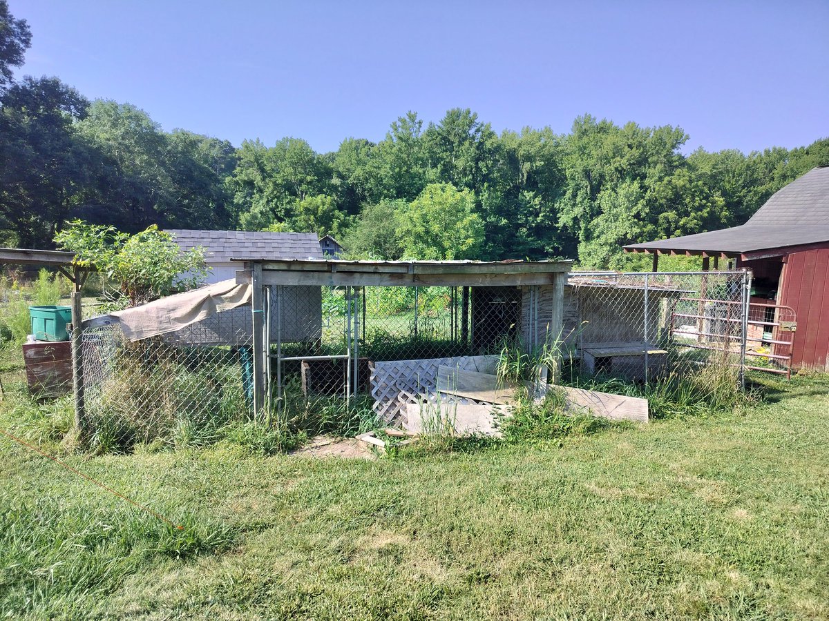 matthenryyoung's tweet image. Working in the sun, sweating, listening to Willie Nelson.
Good things.