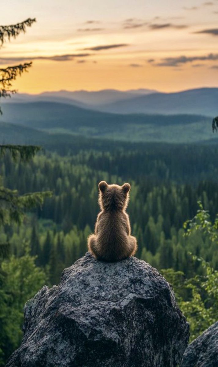 AnneScottlin's tweet image. a) Do you avoid expectations to protect yourself from disappointment?
b) Or do you believe that the thrill of hope—even if it ends in a fall—is worth the risk?
I’m curious what you think. Let’s talk.
#EmotionalWisdom #LiveFully
#InnerJourney amzn.to/3rvsOTg