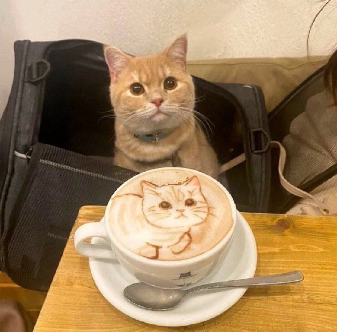 これ俺？
