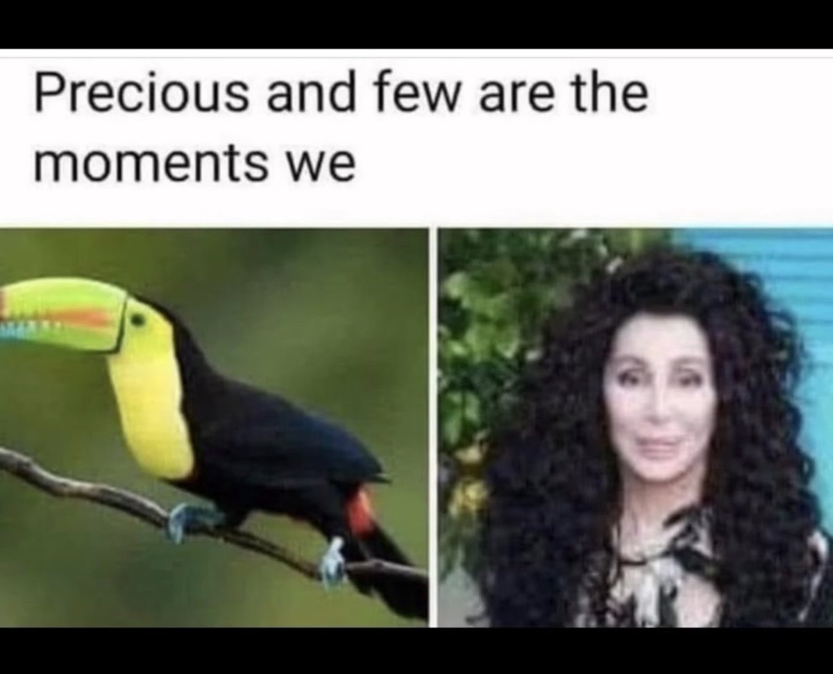 ꧁ 𝓓𝓪𝓻𝓲𝓮𝓵𝓵𝓮 ꧂ (@dariellebrklyn) on Twitter photo 