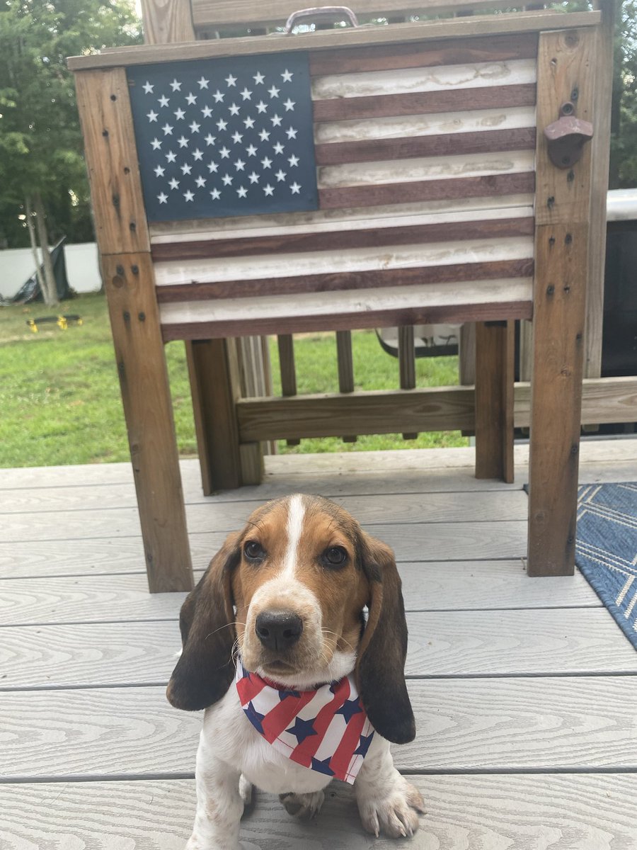 Just picked up a new member of the family! #Bennett