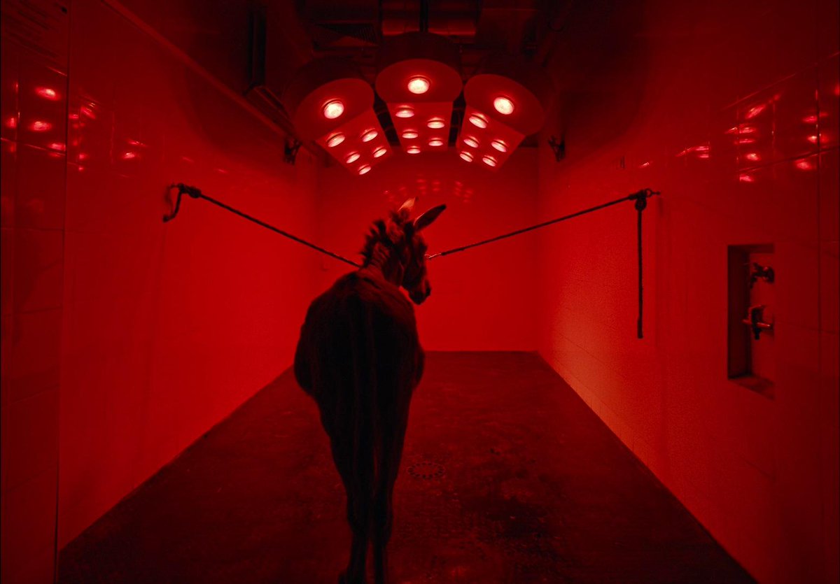 stylnoxx's tweet image. J'en oublie sûrement plein