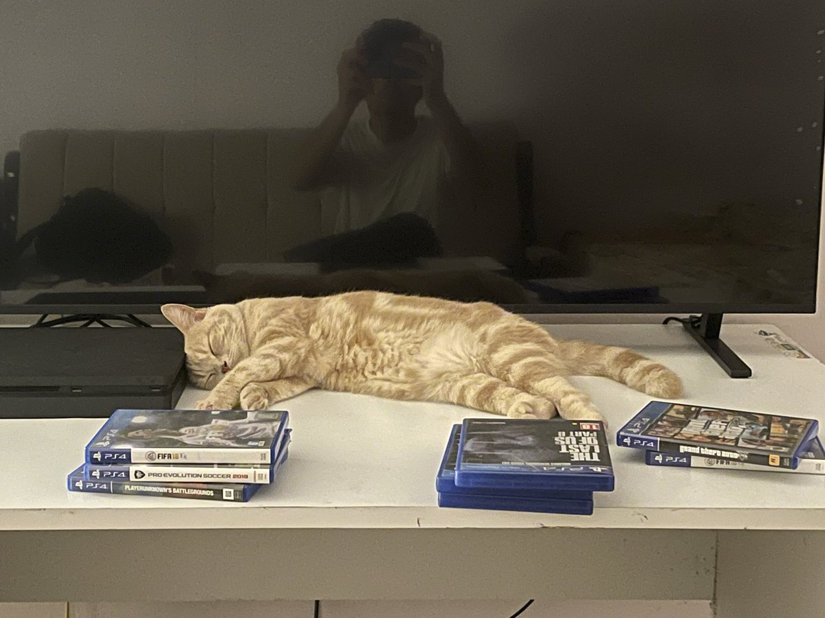 Sid (@siddication) / Posts / X