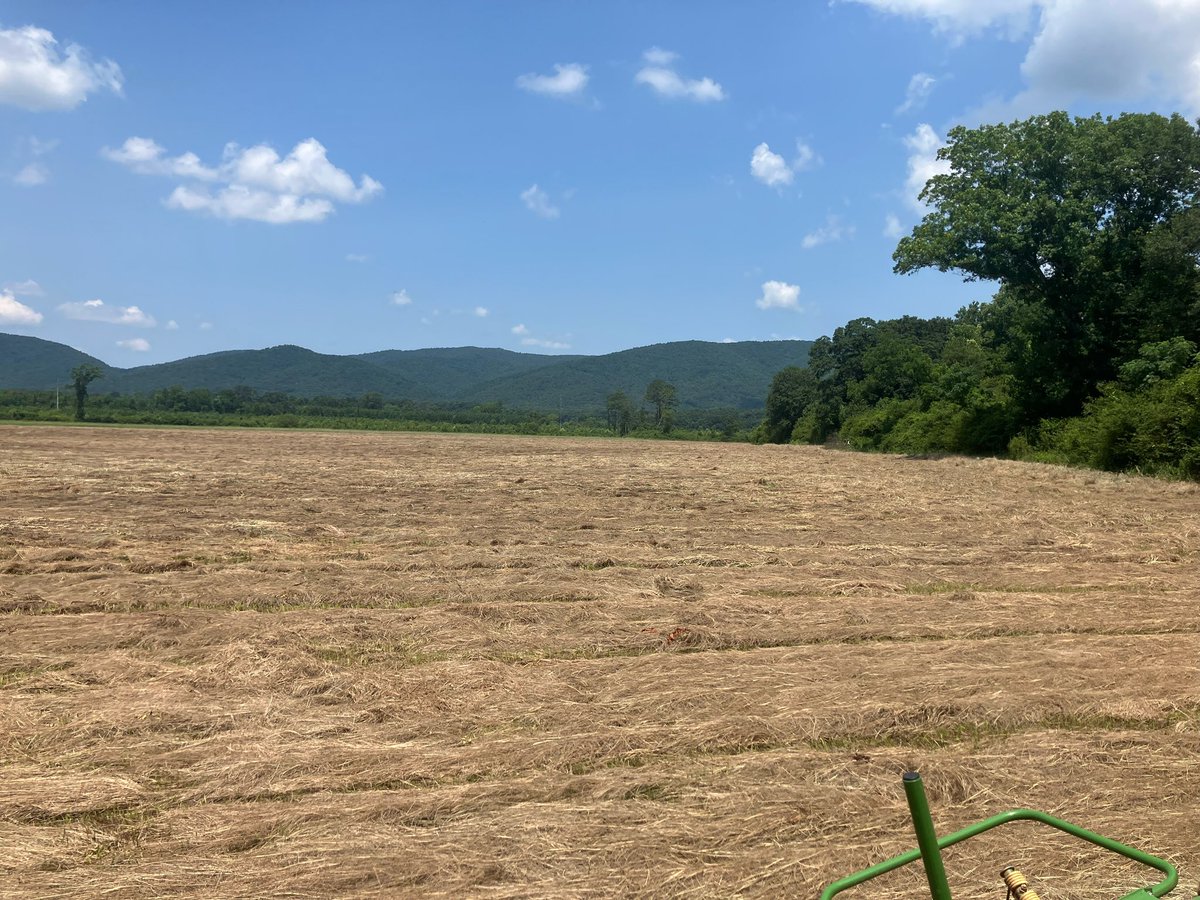 HudsonIngalsbe's tweet image. When I’m not ON the field putting in the work, I’m IN the field putting in the work! 43 acres today. 

#Summer2025 #Classof2027 #work #football #offensivelineman
