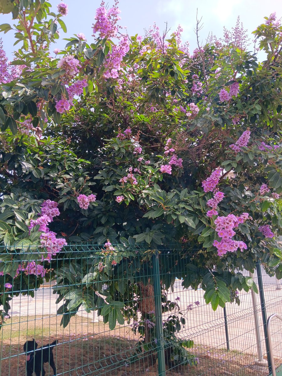 DanielCancel16's tweet image. Verano en Puerto Rico. 👍👍💖✌️✌️🙂🙂🇵🇷🌎☀️